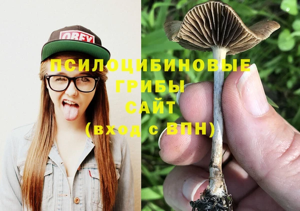 метамфетамин Инта