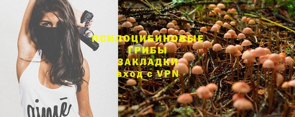 jwh Инсар