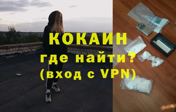 PSILOCYBIN Каменногорск