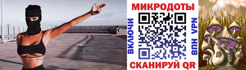 Псилоцибиновые грибы GOLDEN TEACHER Сосновый Бор
