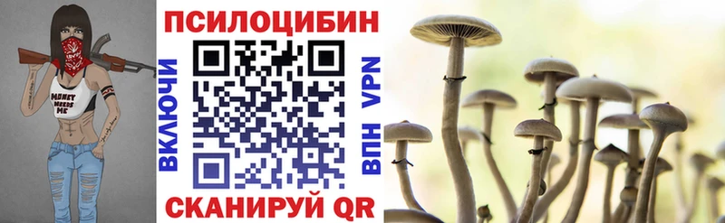Купить  Сосновый Бор  Галлюциногенные грибы GOLDEN TEACHER 
